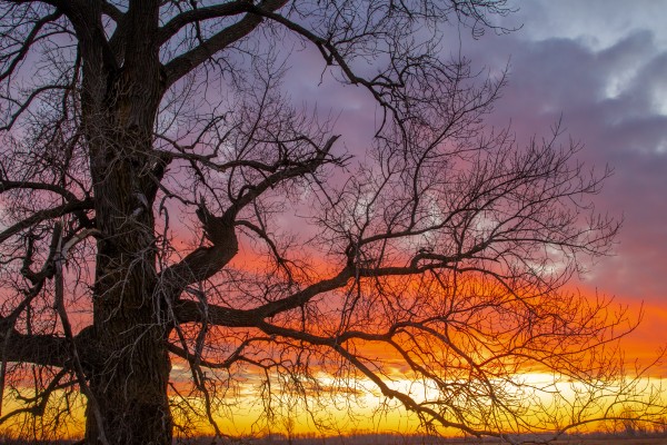 Sunset in the Buena Vista Grassland by Joe Riederer